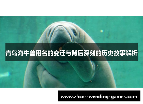 青岛海牛曾用名的变迁与背后深刻的历史故事解析 青岛海牛曾用名的变迁与背后深刻的历史故事解析